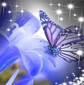 Meet your Posher, Margaret